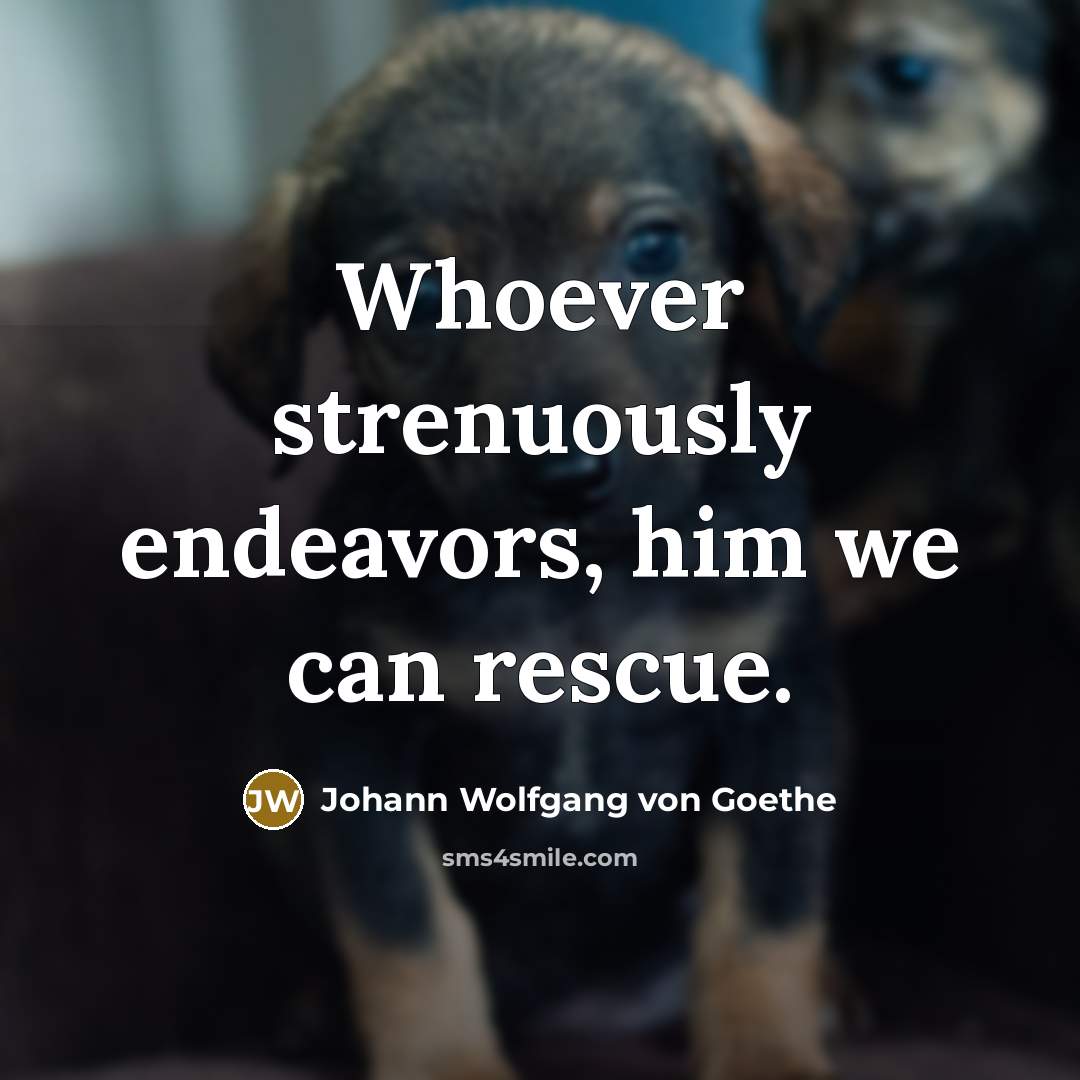 “Whoever strenuously endeavors, him we can rescue.…” quote by Johann Wolfgang von Goethe