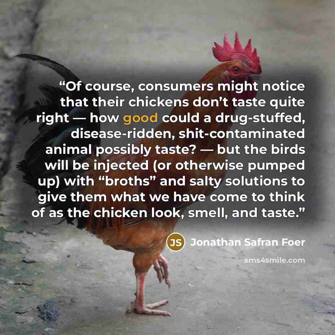 “Of course, consumers might notice that their chickens don’t taste quite right — how good could a drug-stuffed, disease-ridden, shit-contaminated animal possibly taste? — but the birds will be injected (or otherwise pumped up) with “broths” and salty solutions to give them what we have come to…” quote by Jonathan Safran Foer