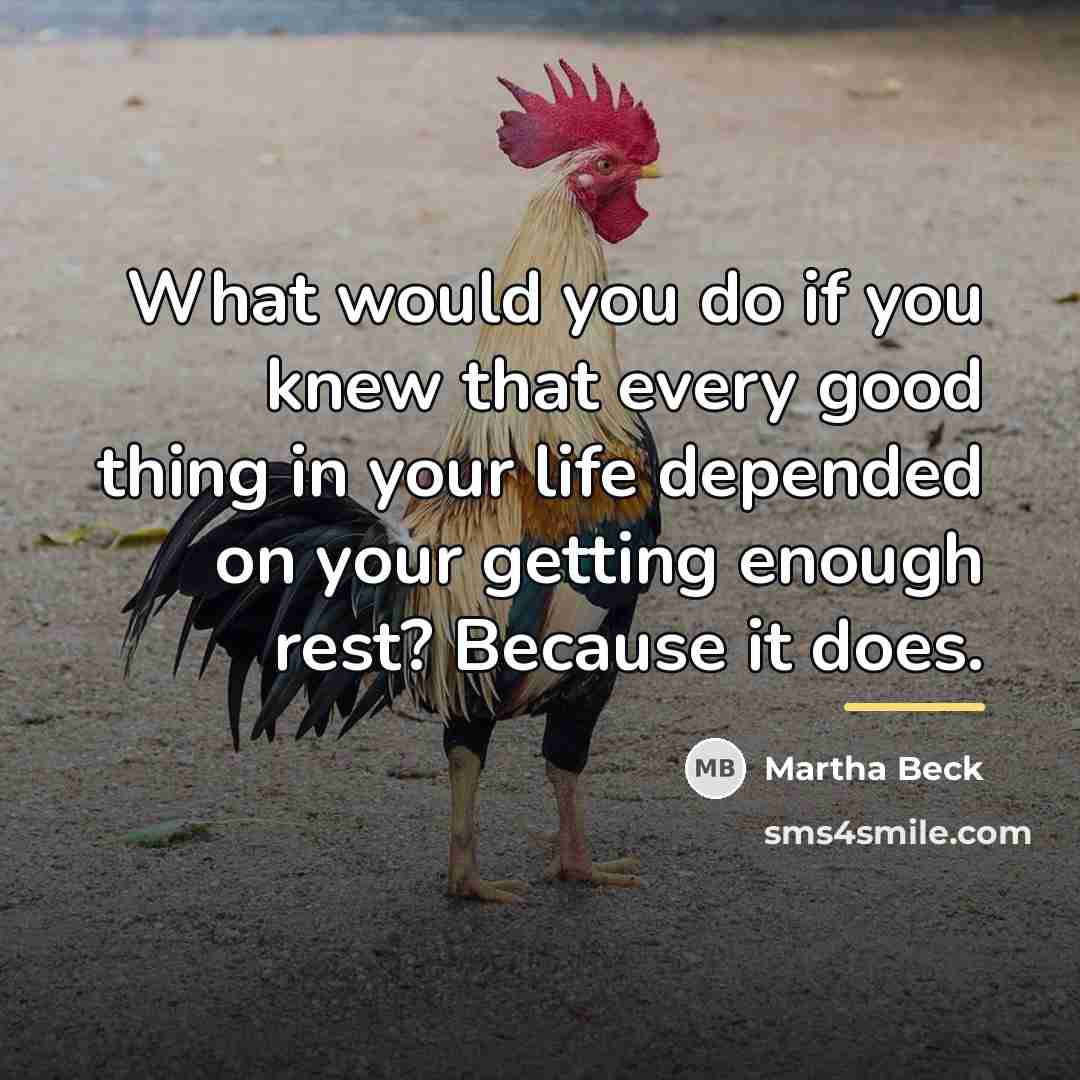 “What would you do if you knew that every good…” quote by Martha Beck