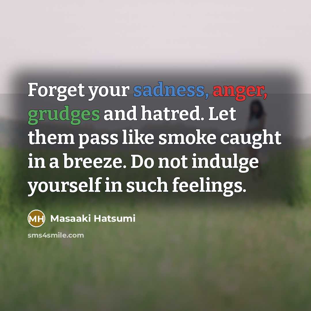 “Forget your sadness, anger, grudges and hatred. Let them pass…” quote by Masaaki Hatsumi