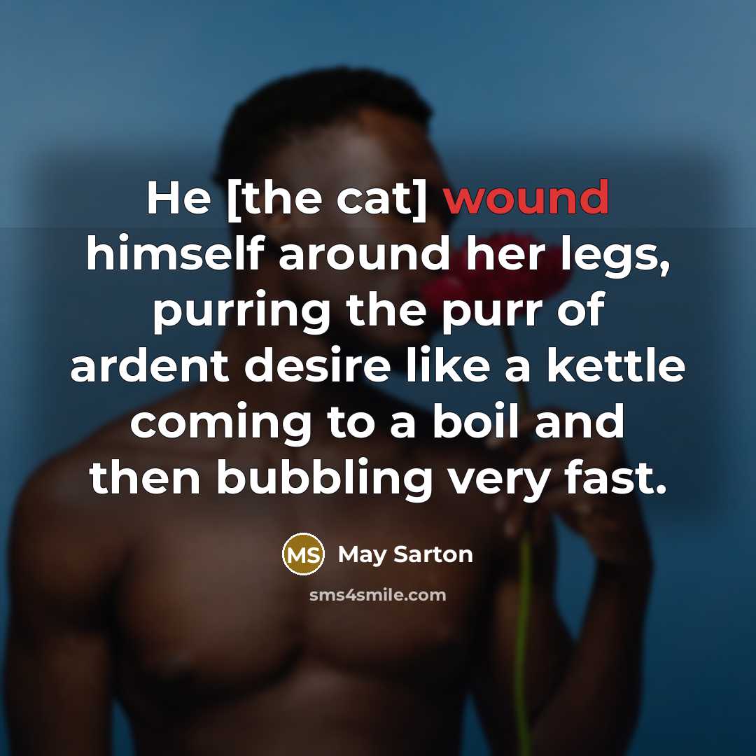 “He [the cat] wound himself around her legs, purring the…” quote by May Sarton