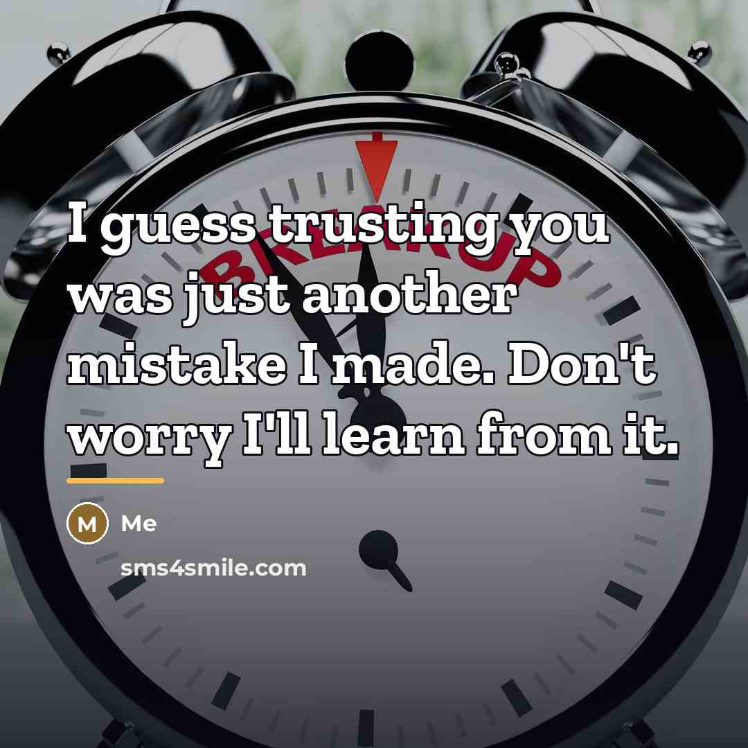 “I guess trusting you was just another mistake I made.…” quote by Me
