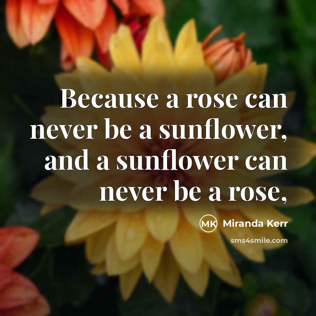“Because a rose can never be a sunflower, and a…” quote by Miranda Kerr