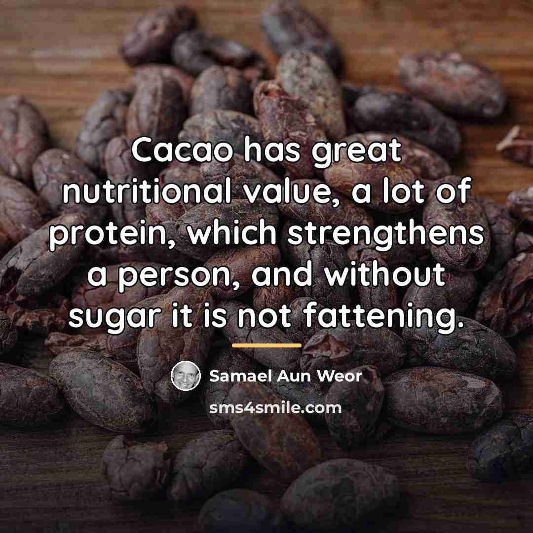 “Cacao has great nutritional value, a lot of protein, which…” quote by Samael Aun Weor