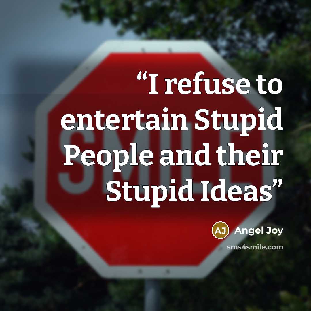 “I refuse to entertain Stupid People and their Stupid Ideas” quote by Angel Joy