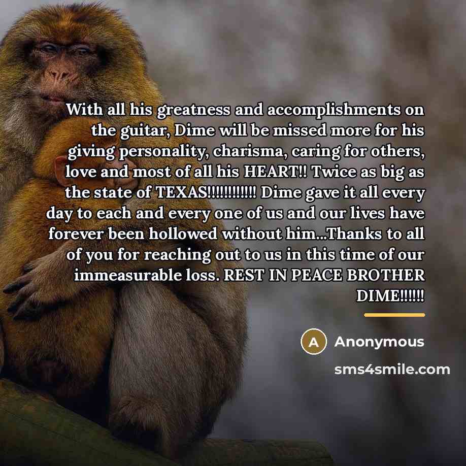 “With all his greatness and accomplishments on the guitar, Dime…” quote by Vinnie Paul Abbott