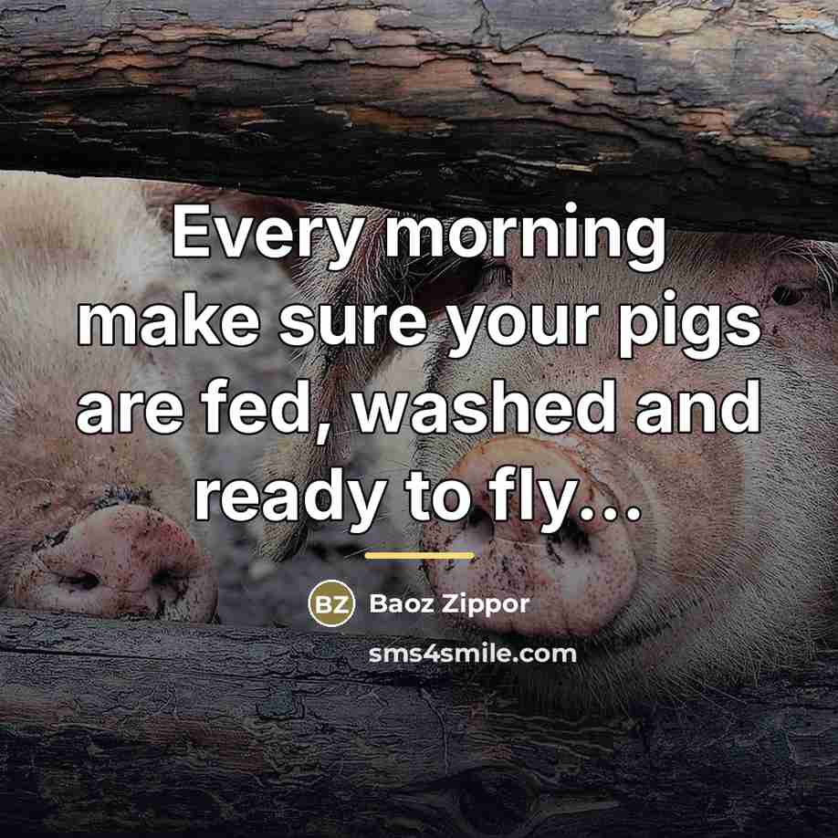 “Every morning make sure your pigs are fed, washed and…” quote by Baoz Zippor