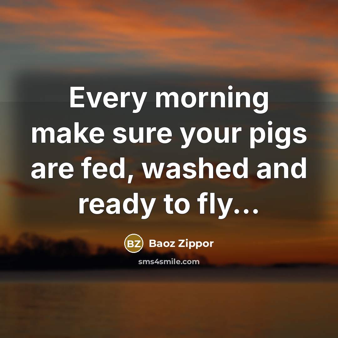 “Every morning make sure your pigs are fed, washed and ready to fly...” quote by Baoz Zippor
