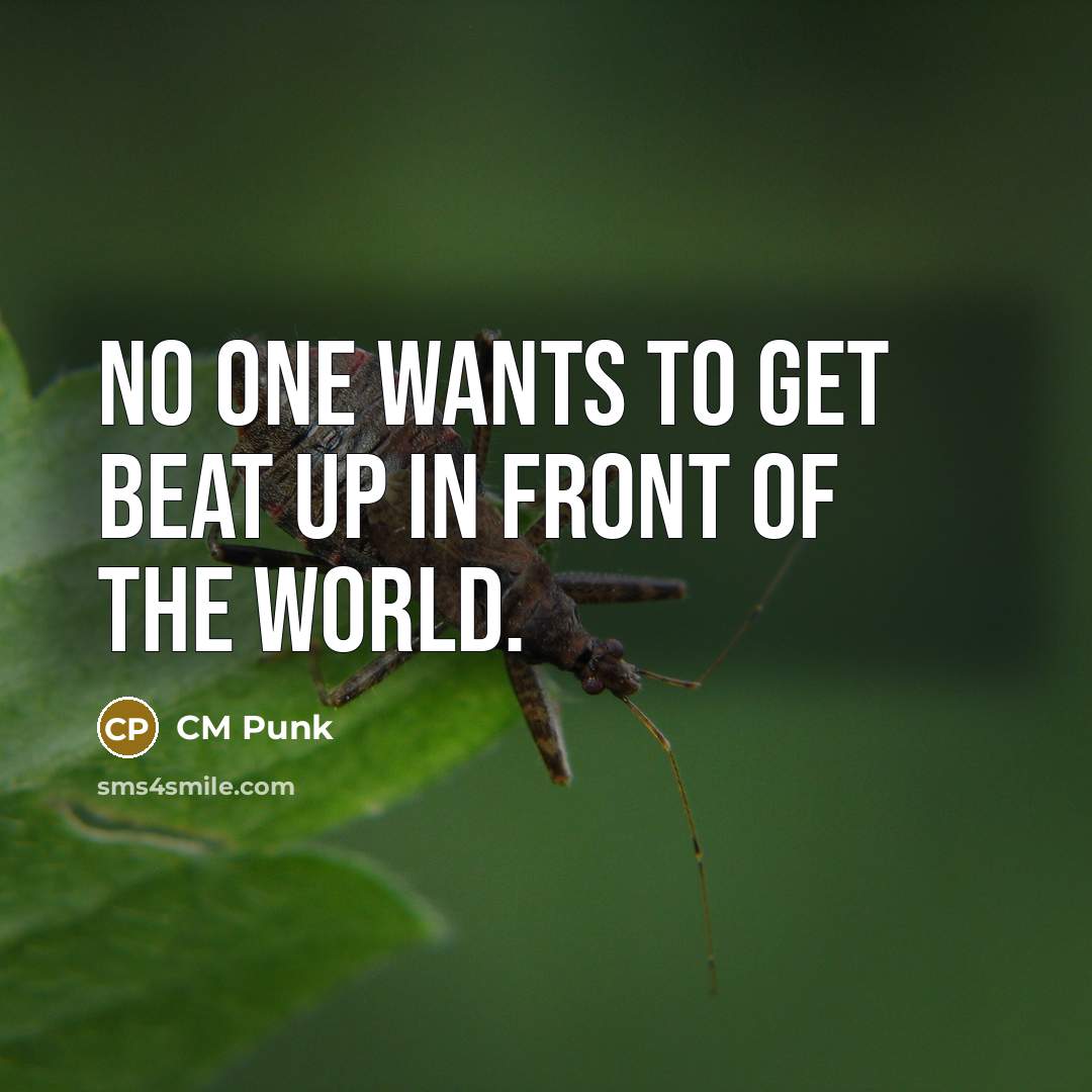 “No one wants to get beat up in front of…” quote by CM Punk