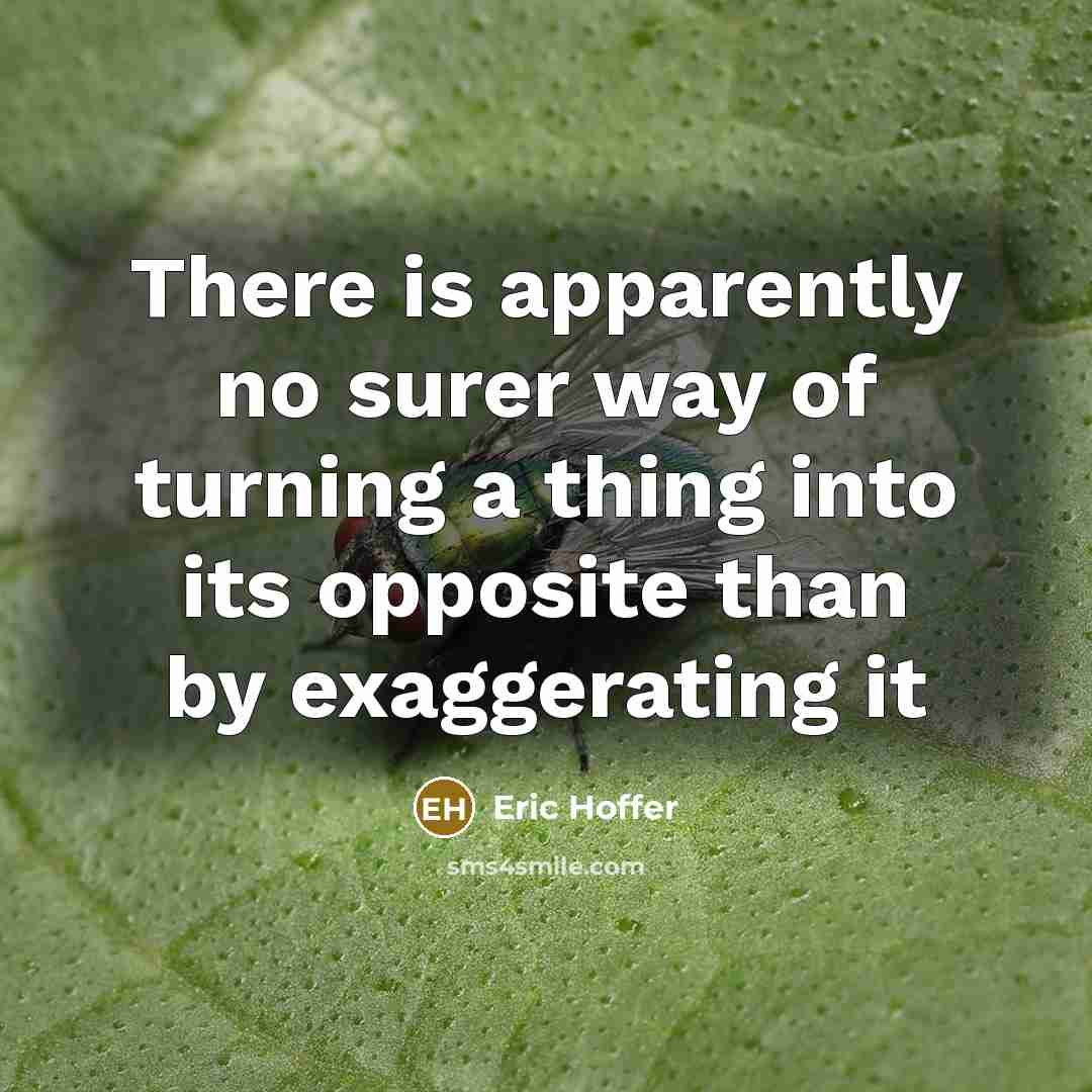 “There is apparently no surer way of turning a thing…” quote by Eric Hoffer