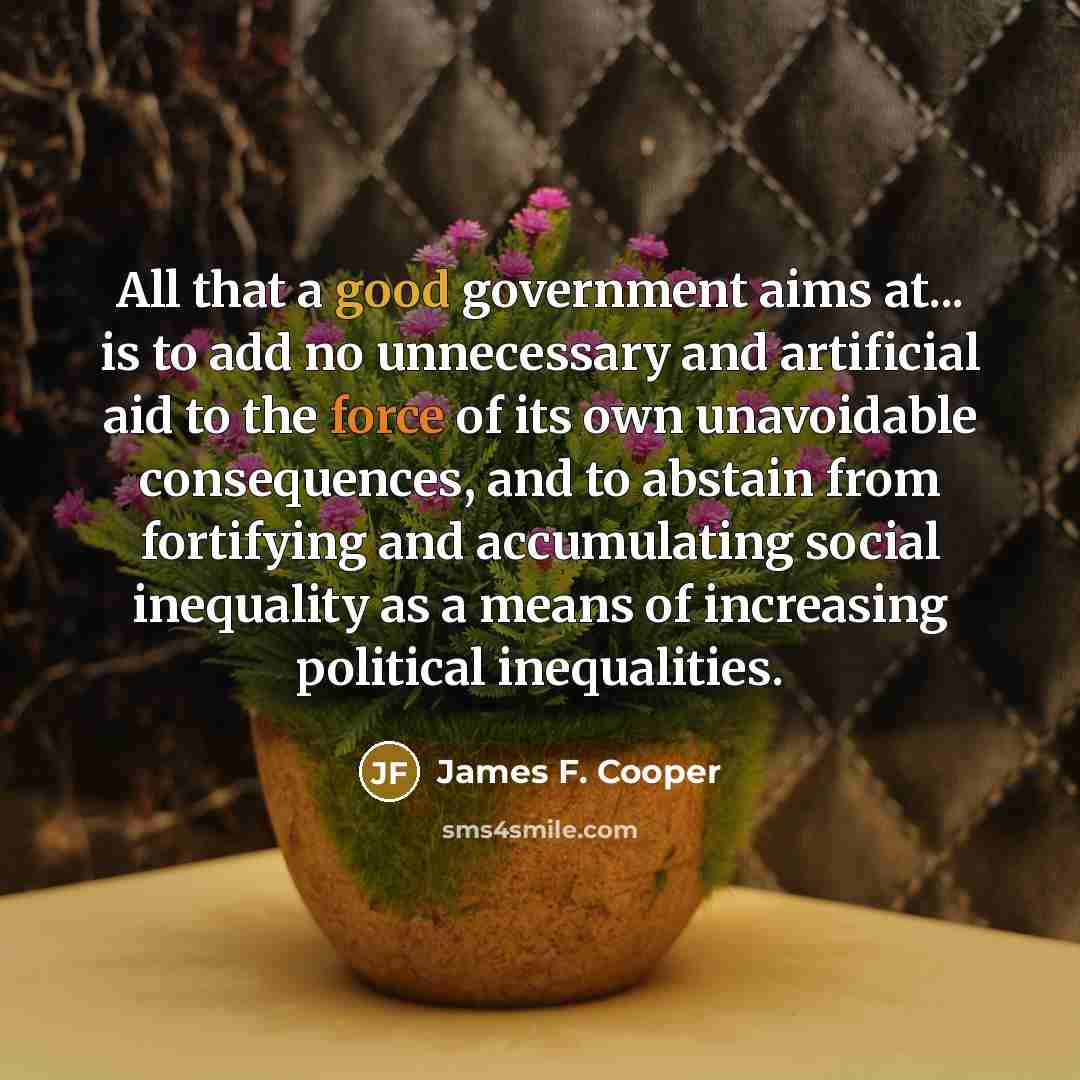 “All that a good government aims at... is to add…” quote by James F. Cooper