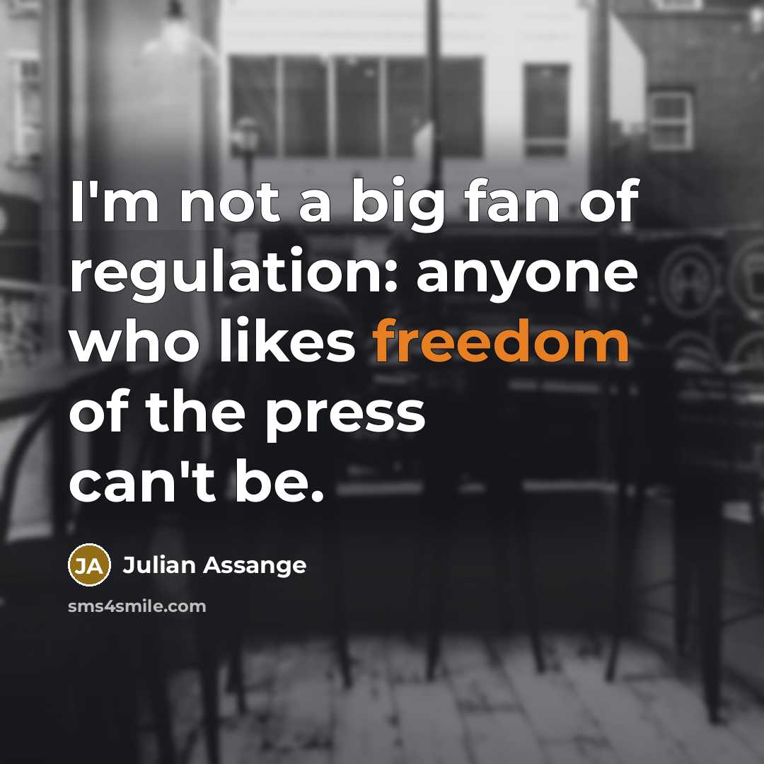 “I'm not a big fan of regulation: anyone who likes…” quote by Julian Assange