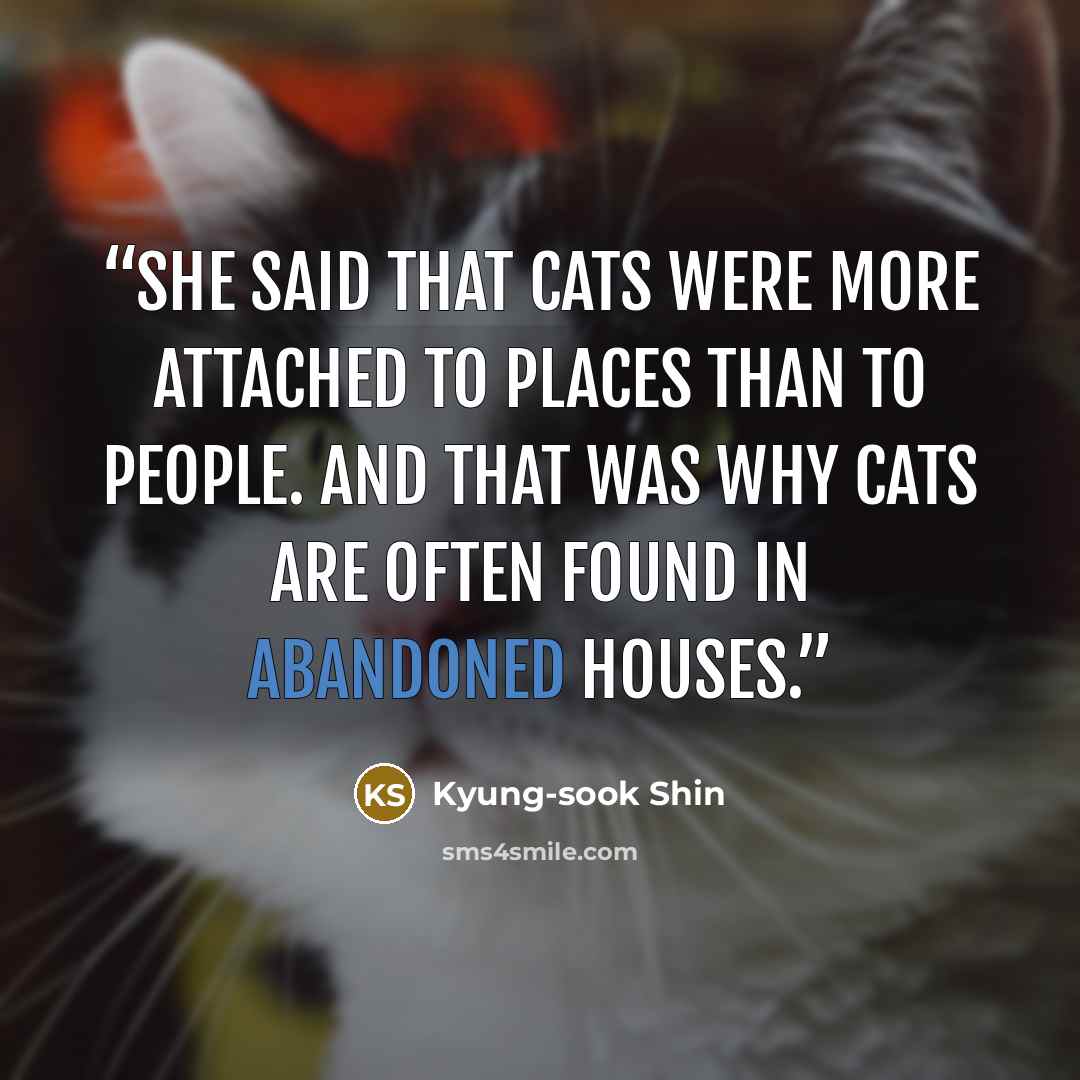 “She said that cats were more attached to places than to people. And that was why cats are often found in abandoned houses.” quote by Kyung-sook Shin