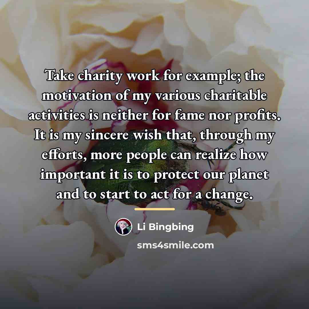 “Take charity work for example; the motivation of my various…” quote by Li Bingbing
