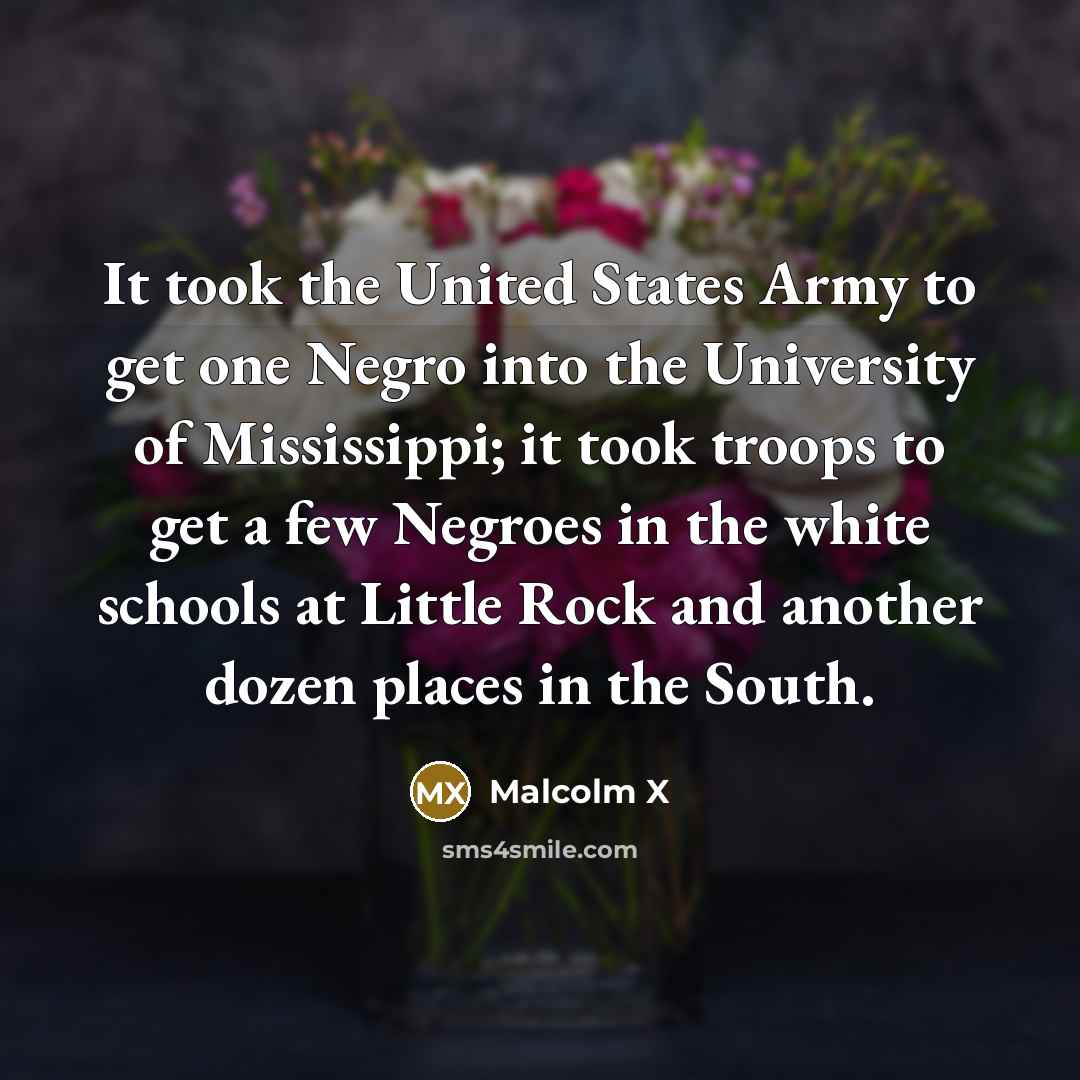 “It took the United States Army to get one Negro…” quote by Malcolm X