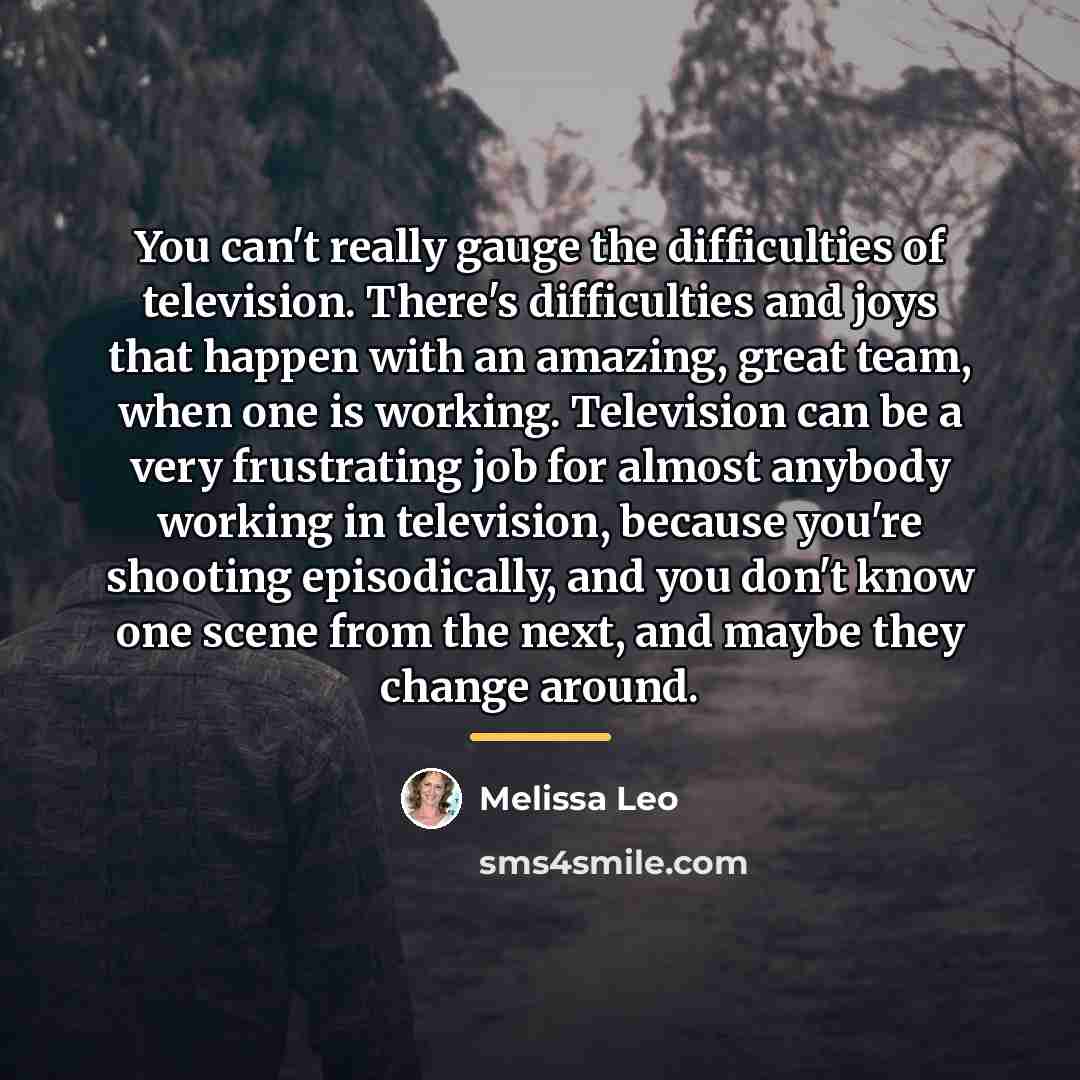 “You can't really gauge the difficulties of television. There's difficulties…” quote by Melissa Leo