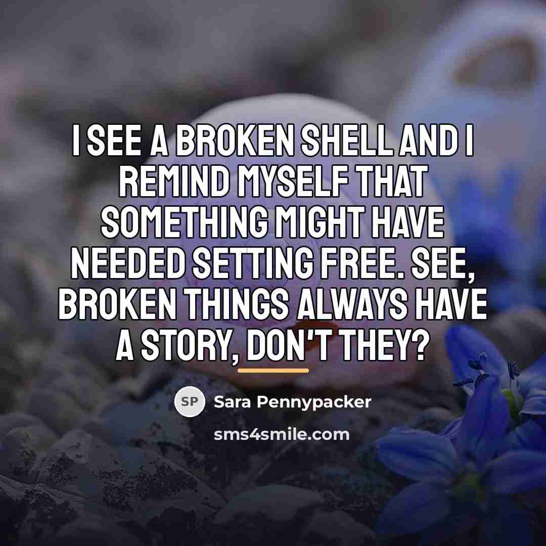 “I see a broken shell and I remind myself that…” quote by Sara Pennypacker