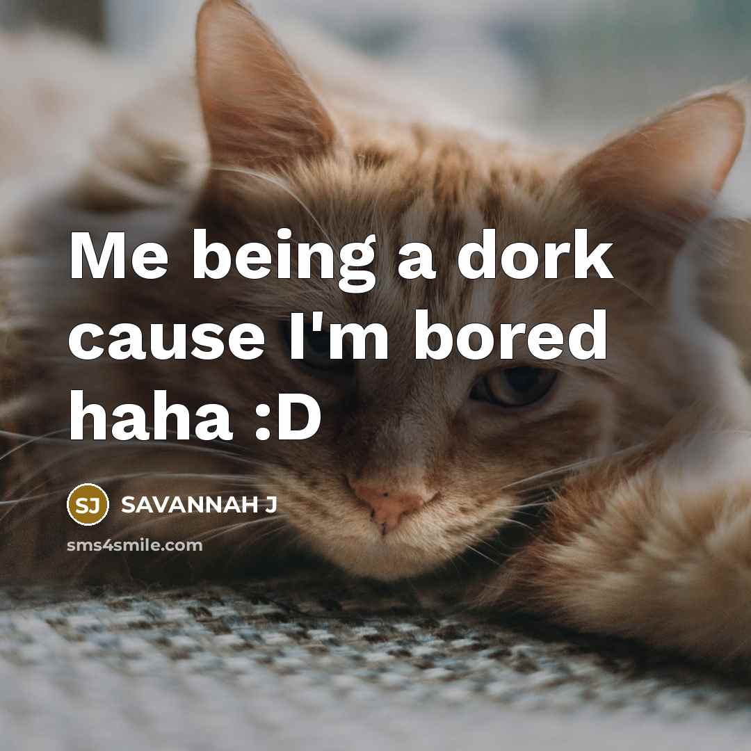 “Me being a dork cause I'm bored haha :D…” quote by Savannah J