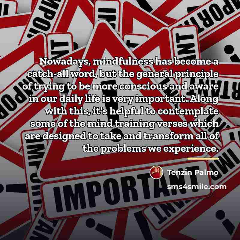 “Nowadays, mindfulness has become a catch-all word, but the general…” quote by Tenzin Palmo