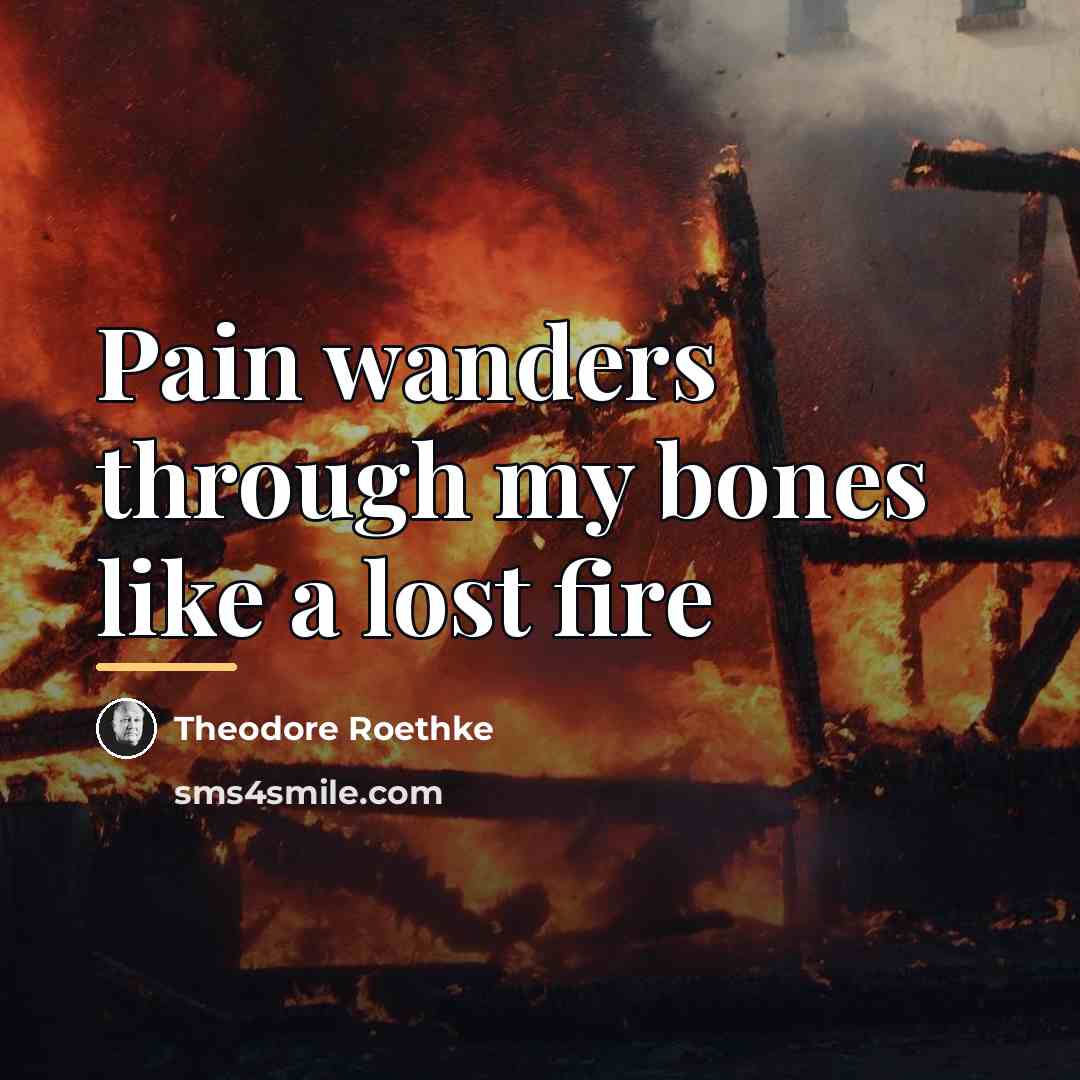 “Pain wanders through my bones like a lost fire…” quote by Theodore Roethke