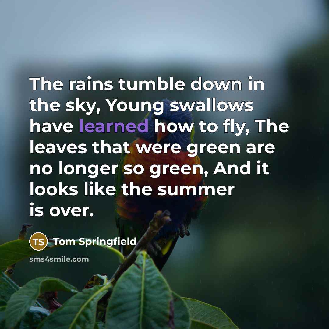 “The rains tumble down in the sky, Young swallows have…” quote by Tom Springfield