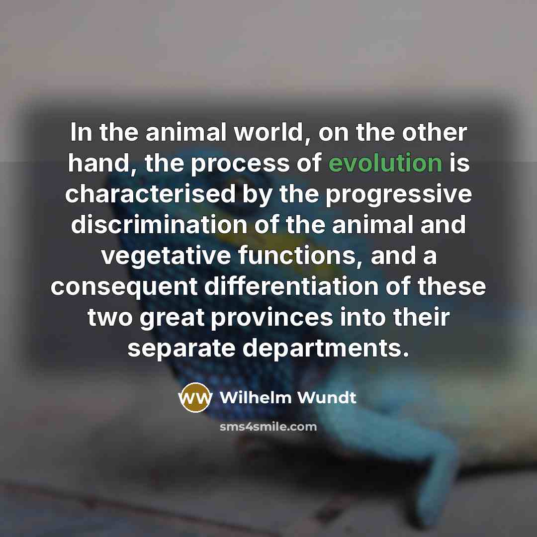 “In the animal world, on the other hand, the process…” quote by Wilhelm Wundt