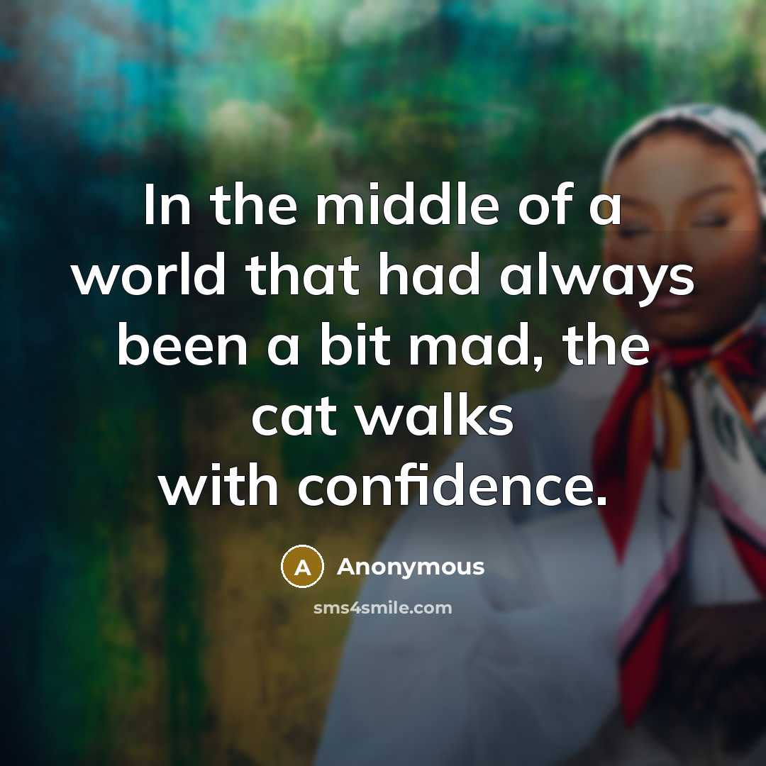 “In the middle of a world that had always been a bit mad, the cat walks with confidence.” quote by Anonymous
