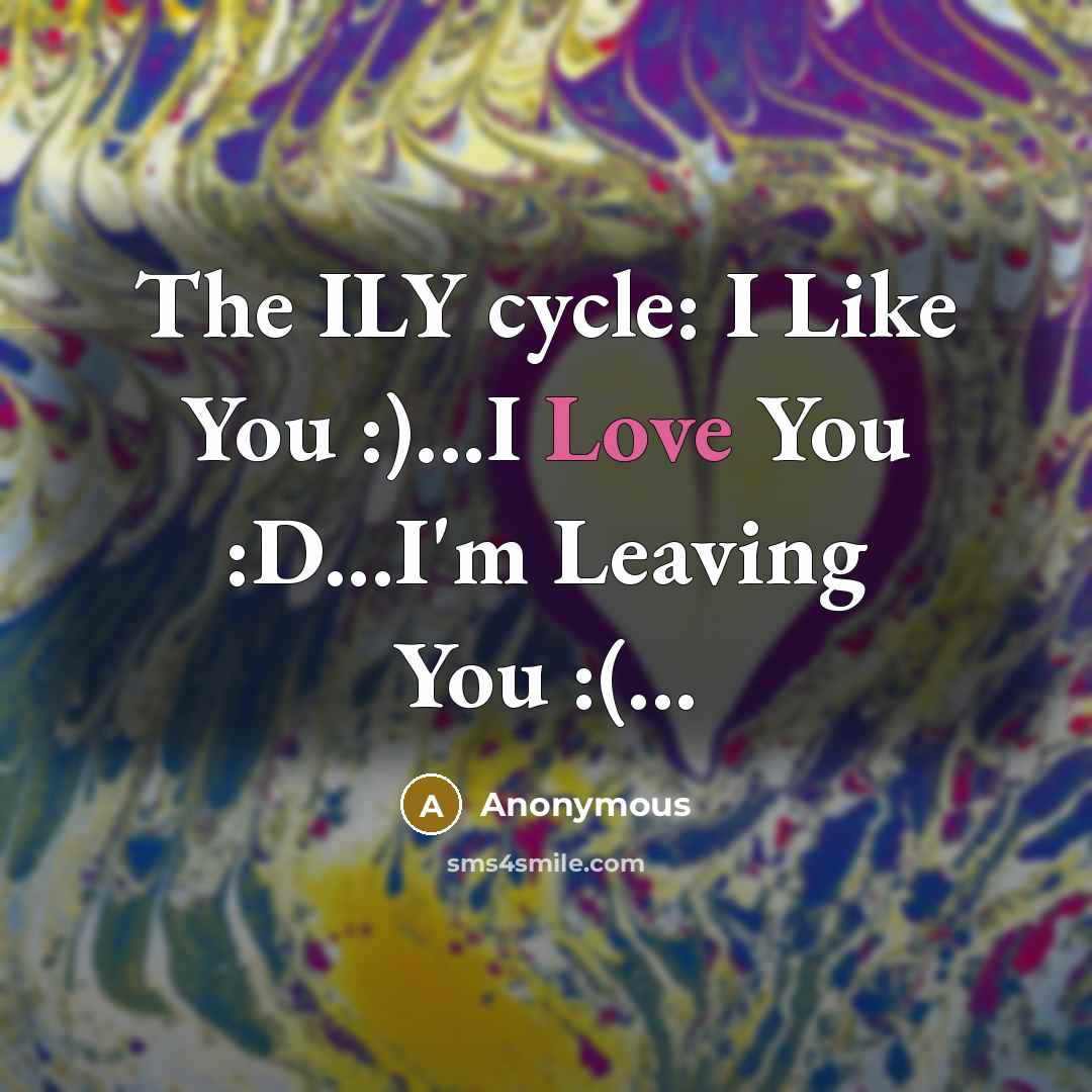 “The ILY cycle: I Like You :)...I Love You :D...I'm…” quote by Anonymous