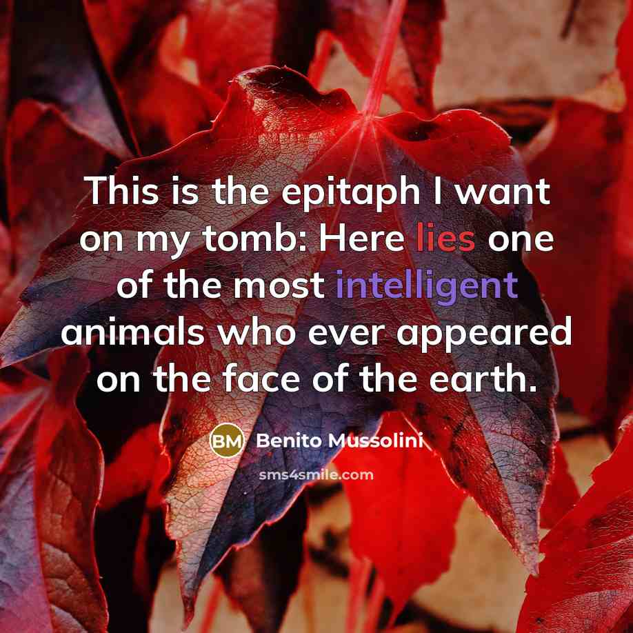 “This is the epitaph I want on my tomb: Here lies one of the most intelligent animals who ever appeared on the face of the earth.” quote by Benito Mussolini