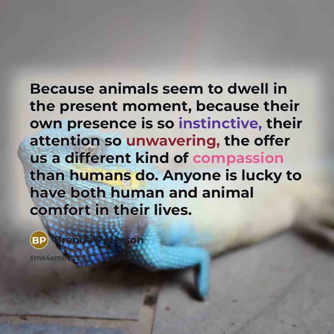 “Because animals seem to dwell in the present moment, because…” quote by Brenda Peterson