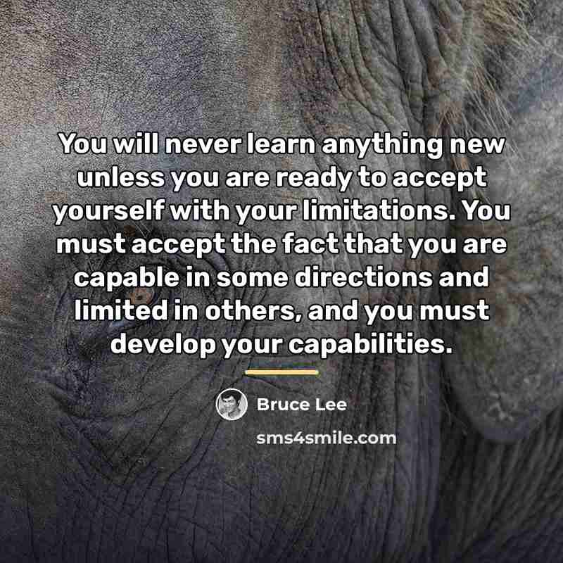 “You will never learn anything new unless you are ready…” quote by Bruce Lee