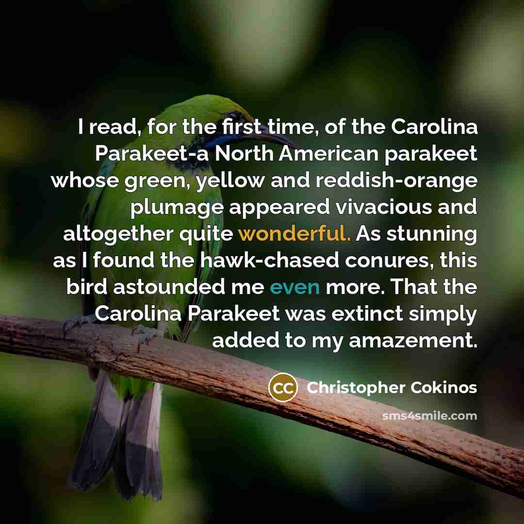 “I read, for the first time, of the Carolina Parakeet-a…” quote by Christopher Cokinos