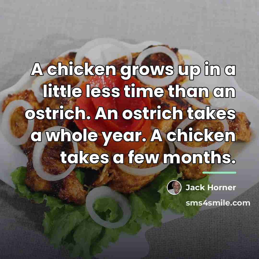 “A chicken grows up in a little less time than…” quote by Jack Horner