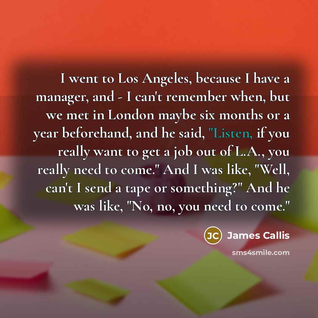 “I went to Los Angeles, because I have a manager,…” quote by James Callis