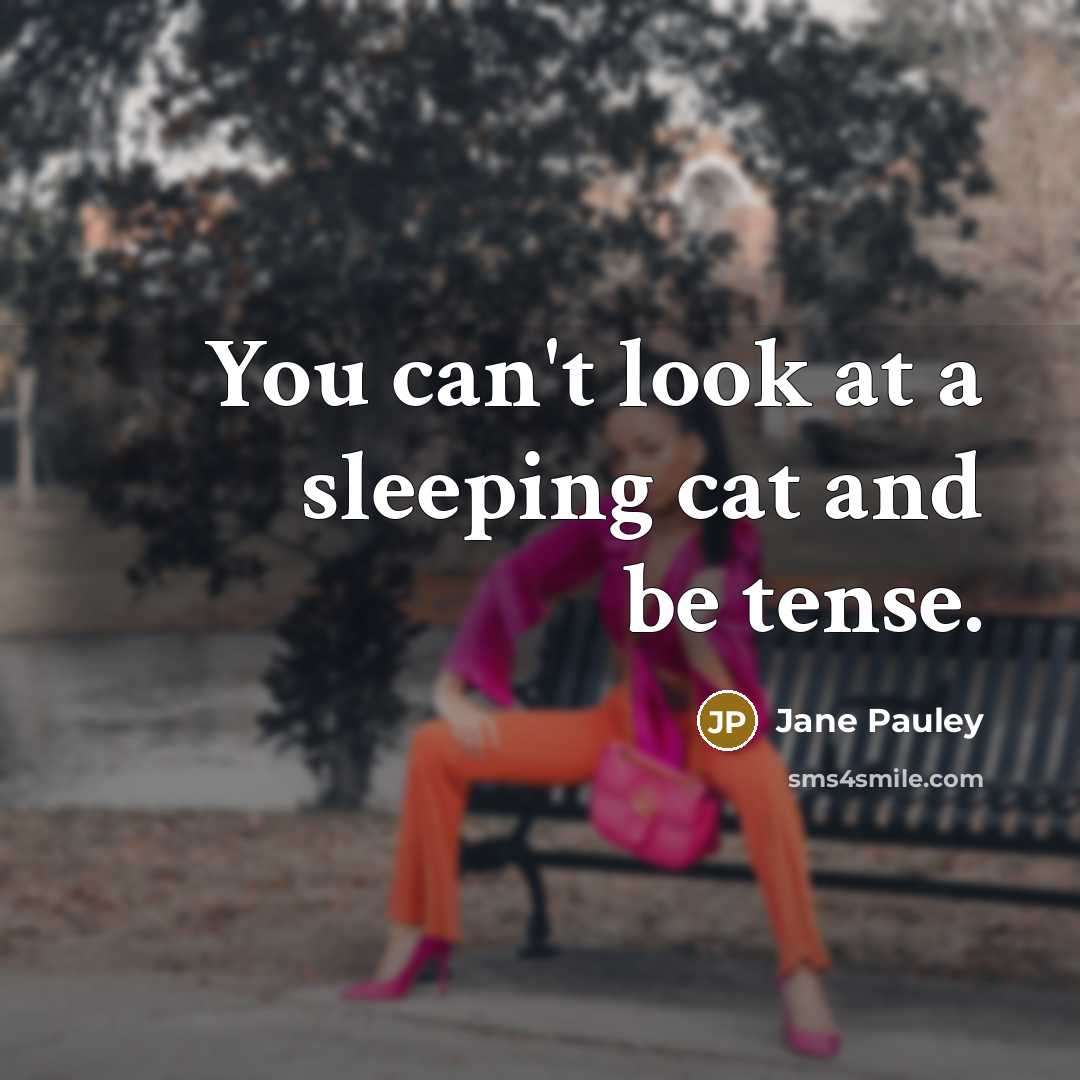 “You can't look at a sleeping cat and be tense.…” quote by Jane Pauley