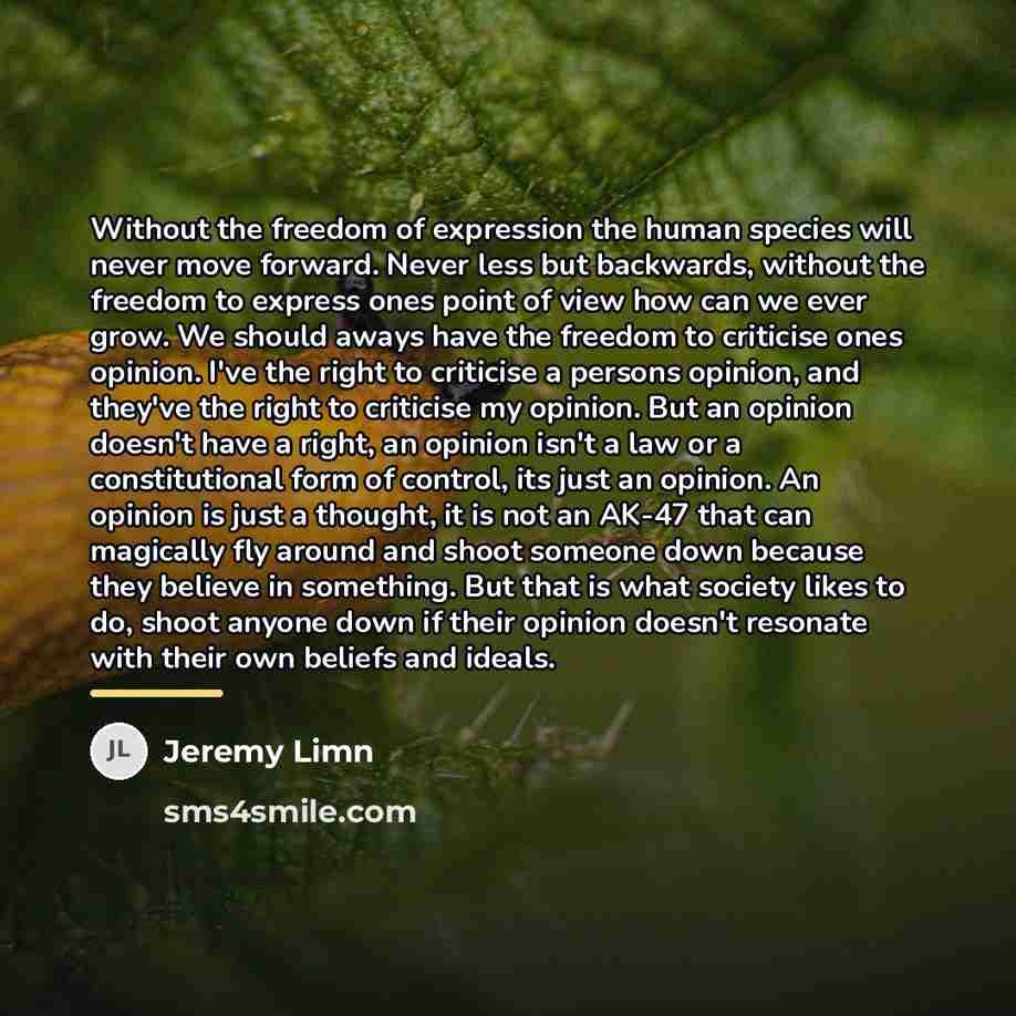 “Without the freedom of expression the human species will never…” quote by Jeremy Limn