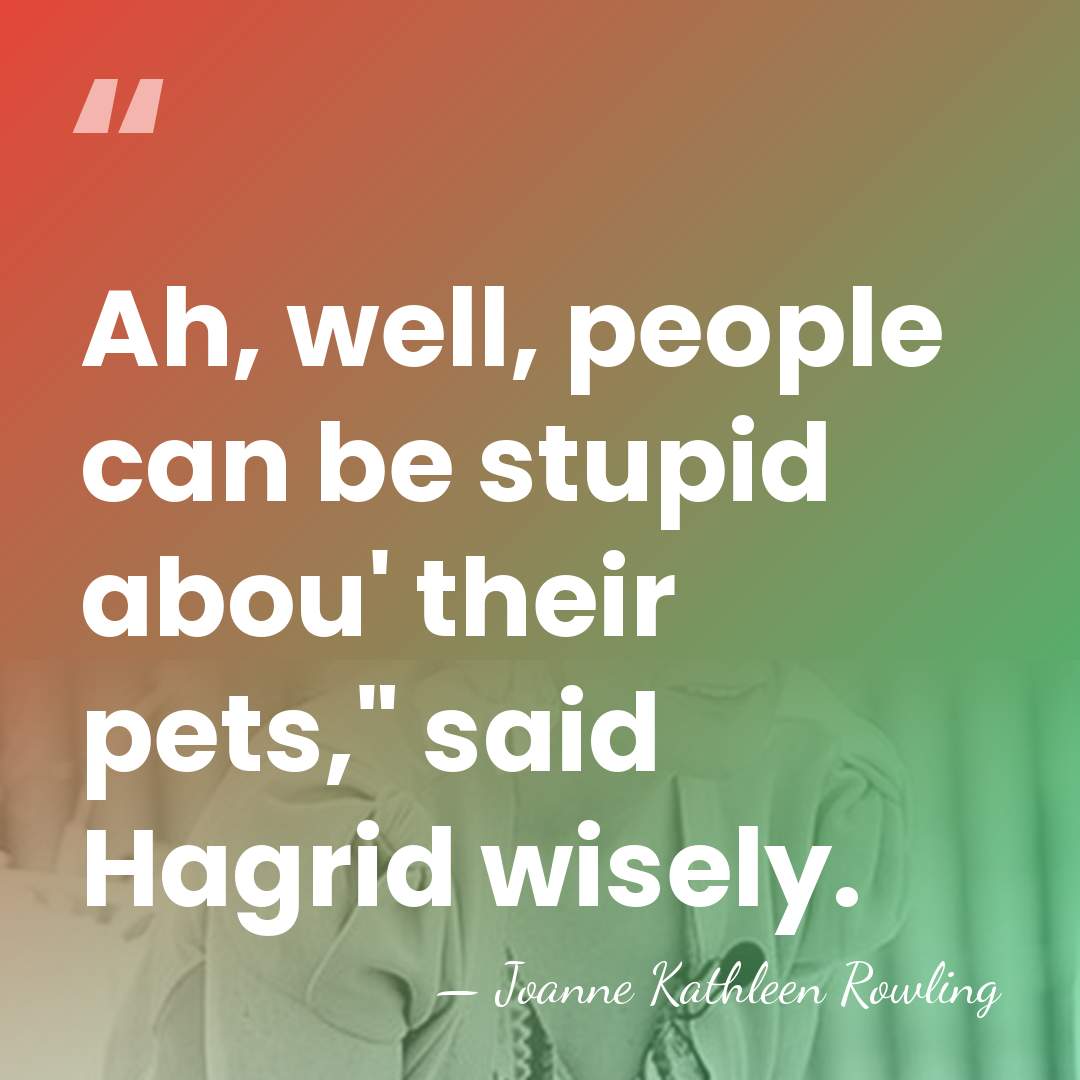 Ah, well, people can be stupid abou' their pets," said Hagrid wisely. - Joanne Kathleen Rowling