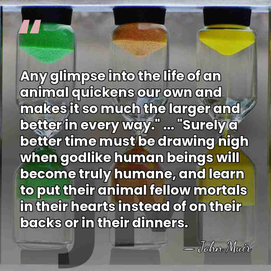 Any glimpse into the life of an animal quickens our own and&hellip; - John Muir