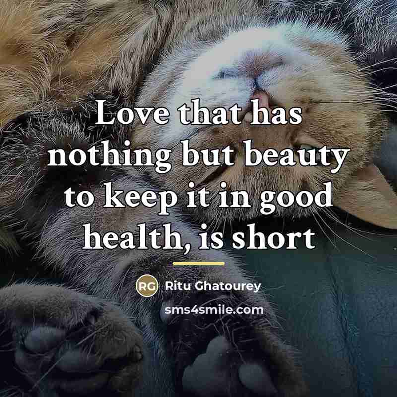 “Love that has nothing but beauty to keep it in…” quote by Ritu Ghatourey