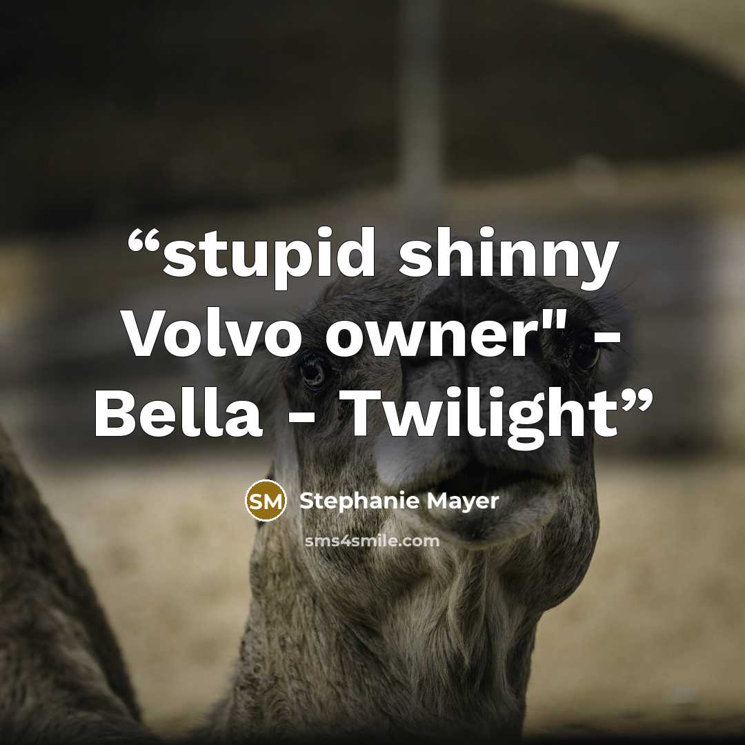 “stupid shinny Volvo owner" - Bella - Twilight” quote by Stephanie Mayer