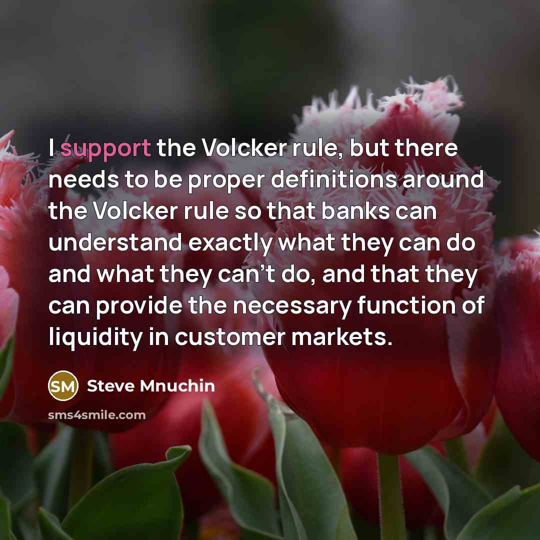 “I support the Volcker rule, but there needs to be…” quote by Steve Mnuchin