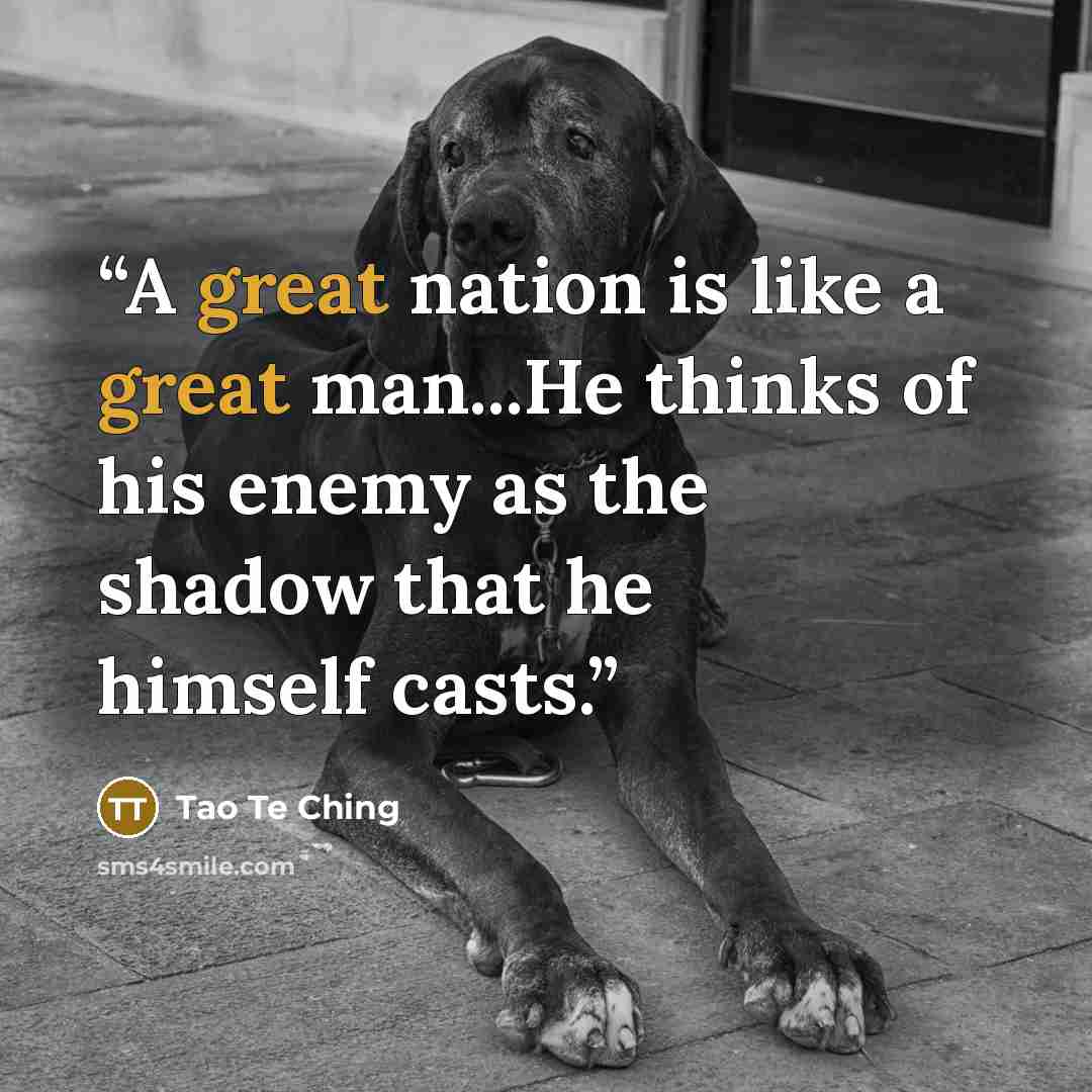 “A great nation is like a great man...He thinks of his enemy as the shadow that he himself casts.” quote by Tao Te Ching
