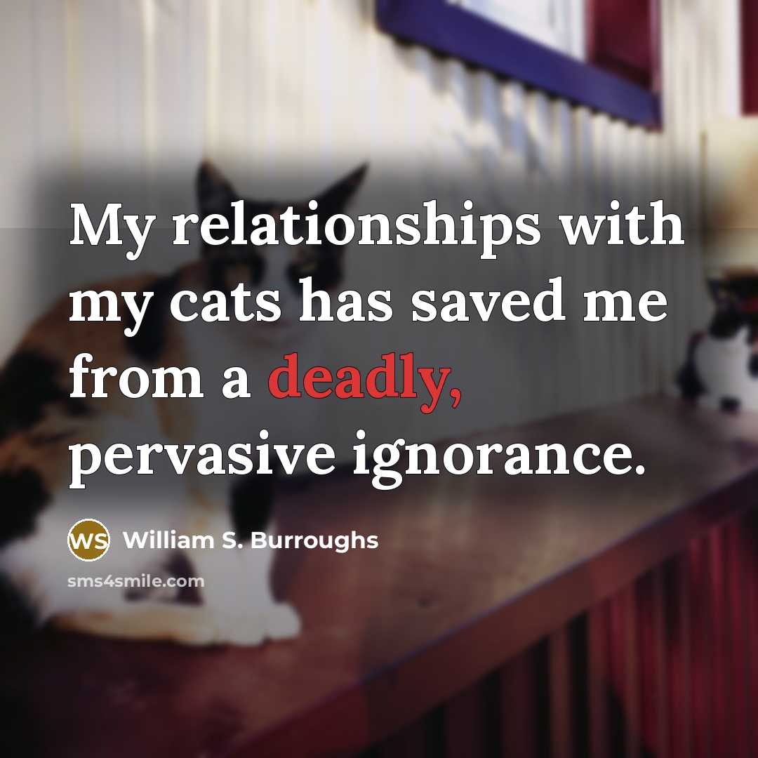 “My relationships with my cats has saved me from a…” quote by William S. Burroughs