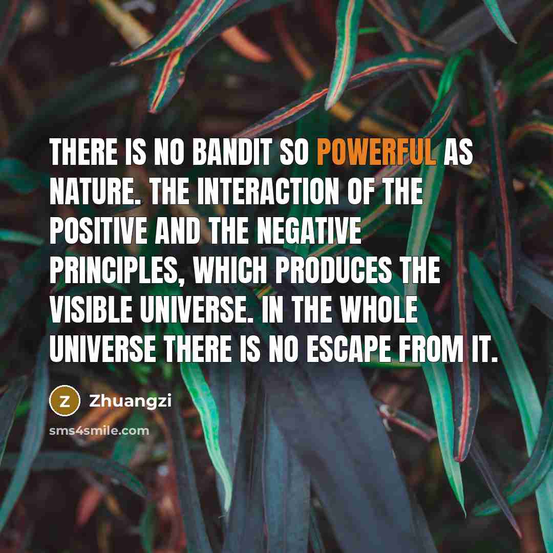 “There is no bandit so powerful as Nature. The interaction…” quote by Zhuangzi
