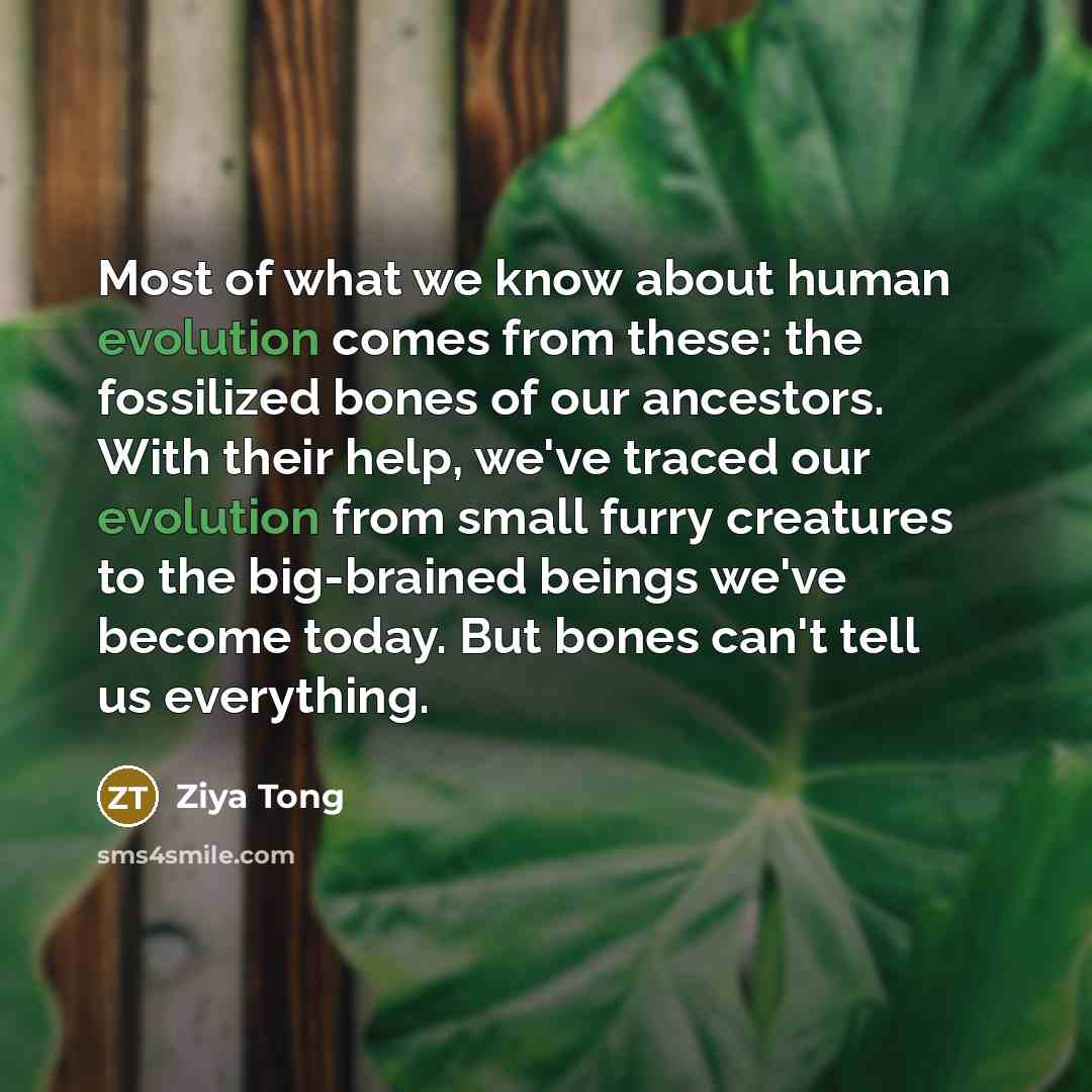 “Most of what we know about human evolution comes from…” quote by Ziya Tong