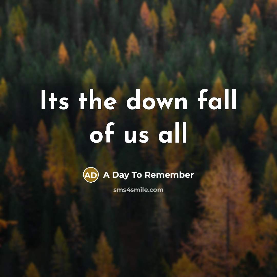 “Its the down fall of us all…” quote by A Day To Remember