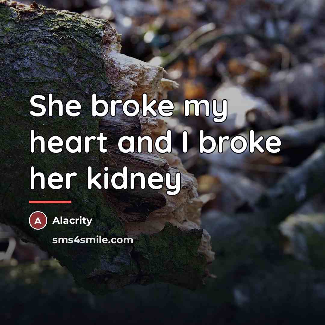 “She broke my heart and I broke her kidney…” quote by Alacrity