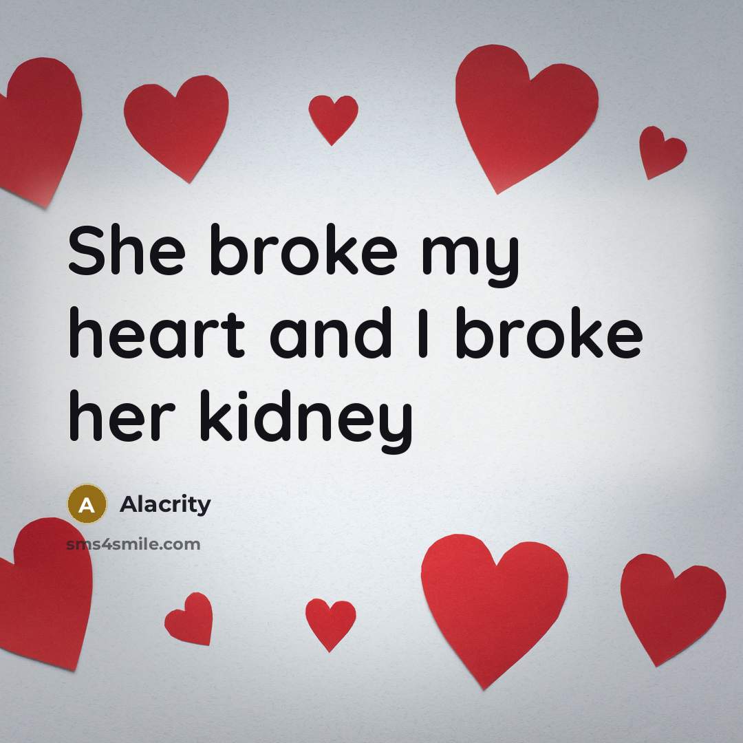 “She broke my heart and I broke her kidney” quote by Alacrity