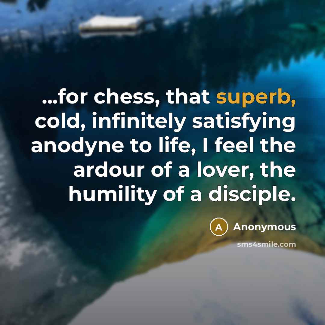 “...for chess, that superb, cold, infinitely satisfying anodyne to life, I feel the ardour of a lover, the humility of a disciple.” quote by Anonymous