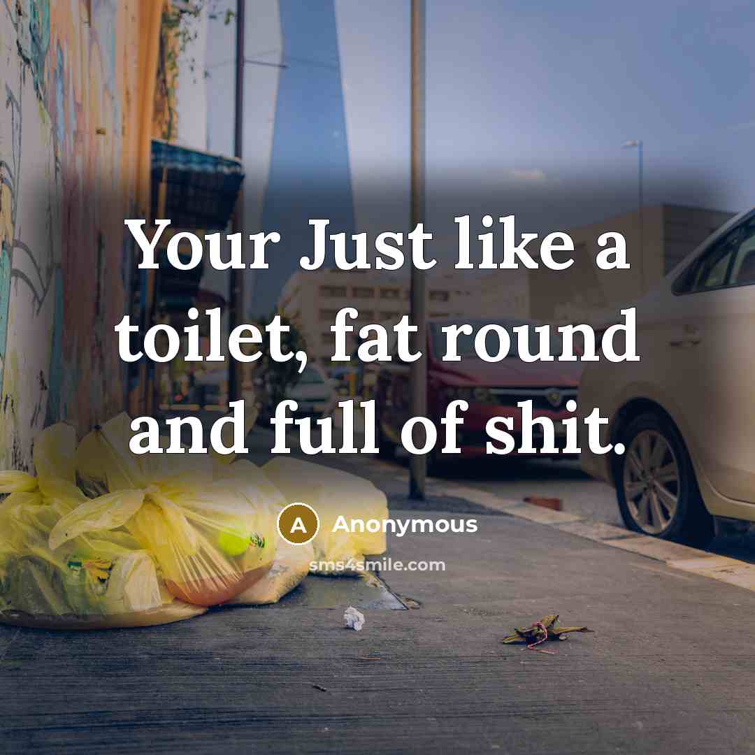 “Your Just like a toilet, fat round and full of…” quote by Anonymous